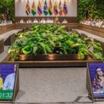 presidentes-de-paises-amazonicos-nao-se-comprometem-a-parar-exploracao-de-petroleo-na-regiao
