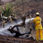 numero-de-mortos-em-incendios-florestais-no-havai-sobe-para-106,-diz-governador