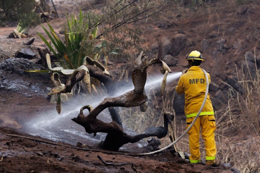 numero-de-mortos-em-incendios-florestais-no-havai-sobe-para-106,-diz-governador