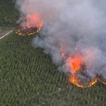 louisiana-registra-441-incendios-florestais-‘sem-precedentes’-em-meio-a-seca-extrema