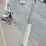 tres-pedestres-morrem-por-dia-em-acidentes-de-transito-no-estado-de-sao-paulo